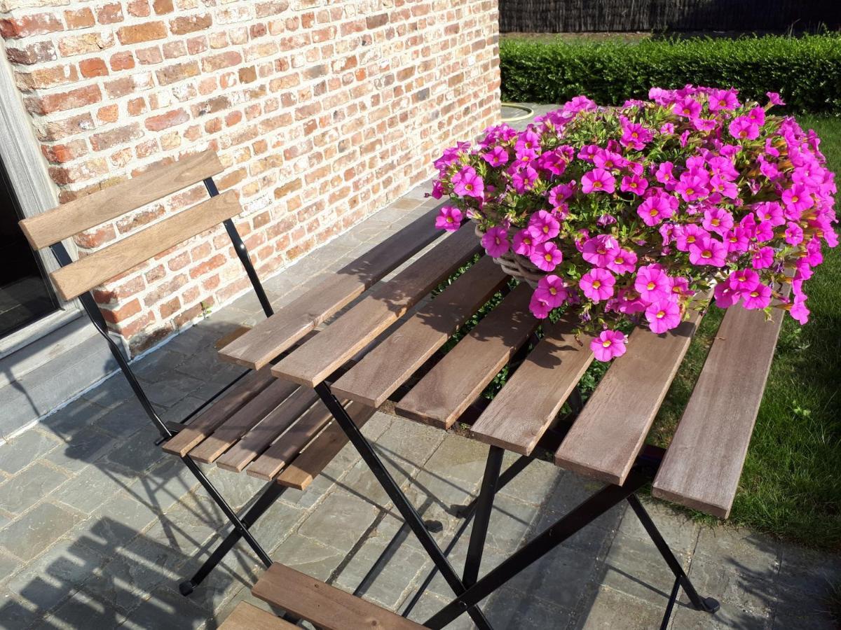 B&B 'T Hoveke Wingene Exteriér fotografie
