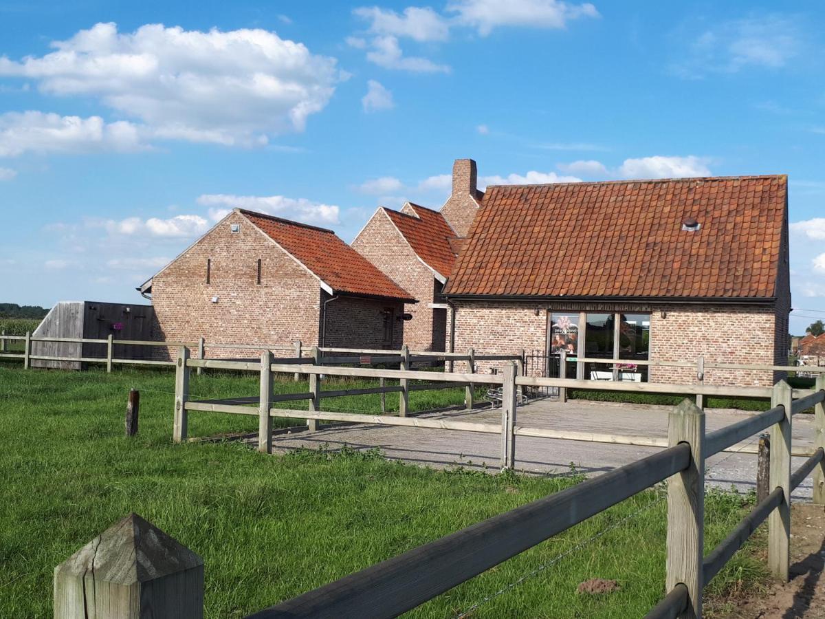 B&B 'T Hoveke Wingene Exteriér fotografie